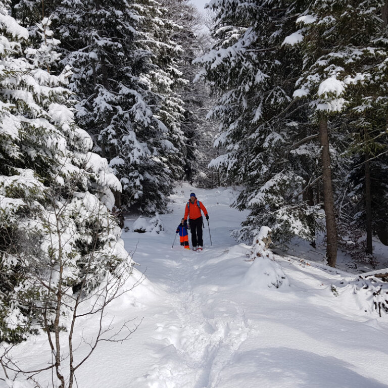 Schneeschuhtour Allgäu - Bärenmoos - Level 1