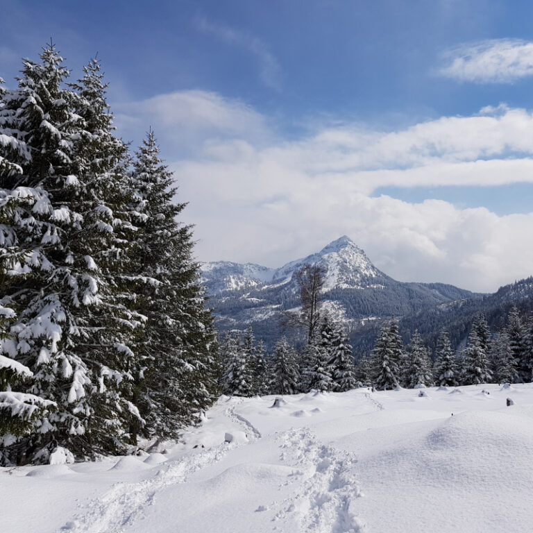 Schneeschuhtour Allgäu - Bärenmoos - Level 1