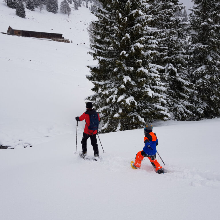 Schneeschuhtour Allgäu - Bärenmoos - Level 1