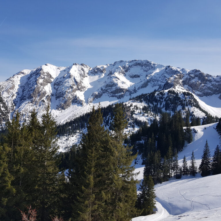 Schneeschuhtouren Allgäu - Breitenberg, Pfronten Level 1