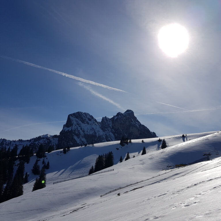 Schneeschuhtouren Allgäu - Breitenberg, Pfronten Level 1