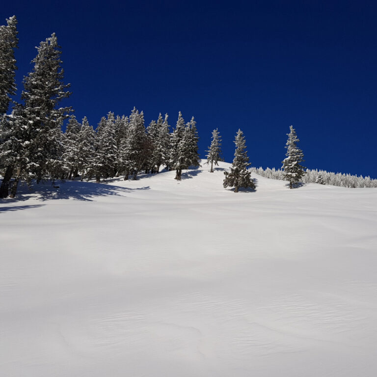 Schneeschuhtouren Allgäu - Breitenberg, Pfronten Level 2