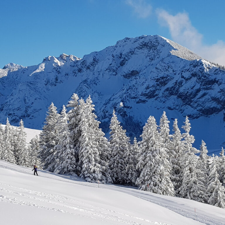 Schneeschuhtouren Allgäu - Breitenberg, Pfronten Level 2