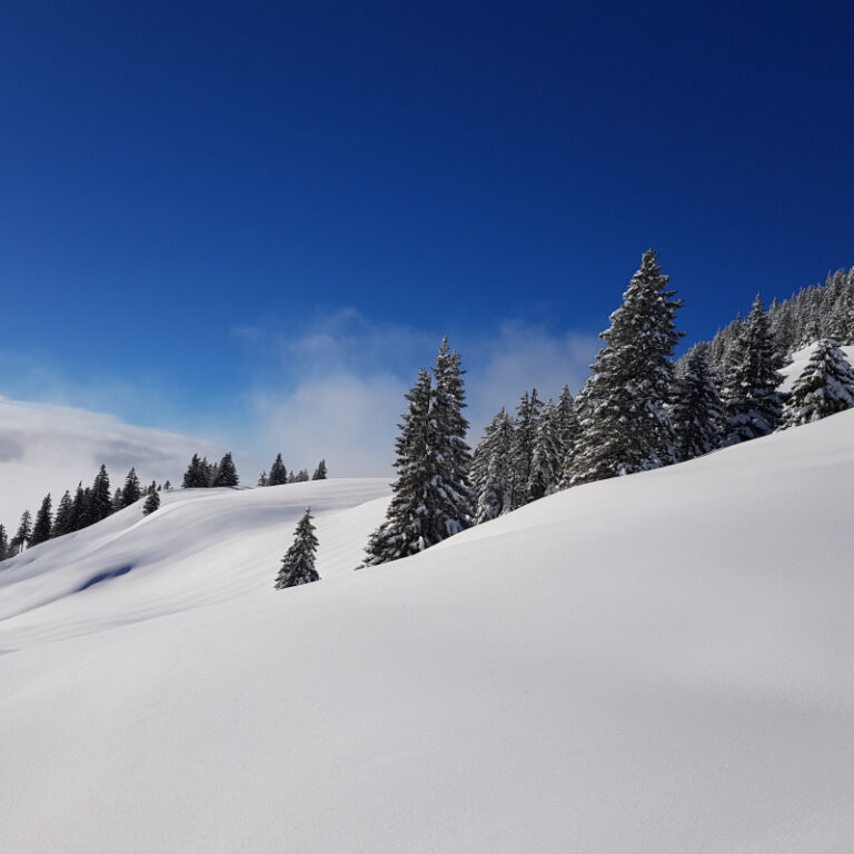 Schneeschuhtouren Allgäu - Breitenberg, Pfronten Level 2