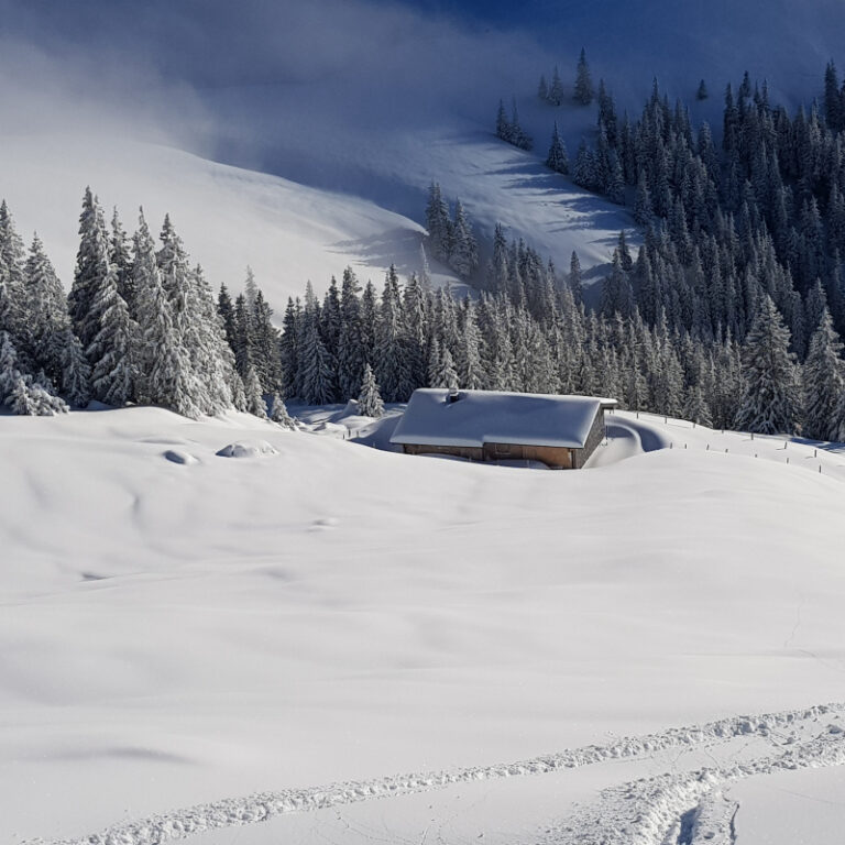 Schneeschuhtouren Allgäu - Breitenberg, Pfronten Level 2