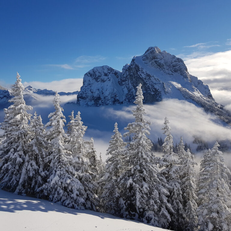 Schneeschuhtouren Allgäu - Breitenberg, Pfronten Level 2