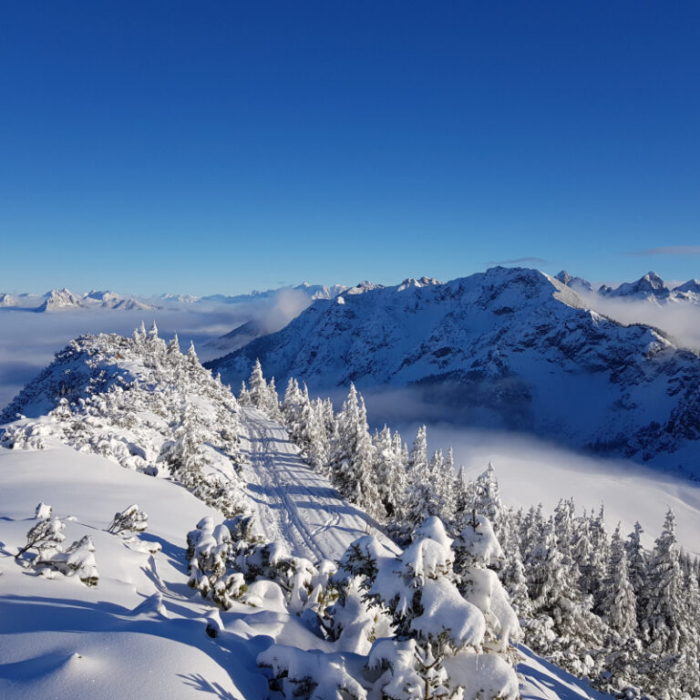 Schneeschuhtouren Allgäu - Breitenberg, Pfronten Level 2