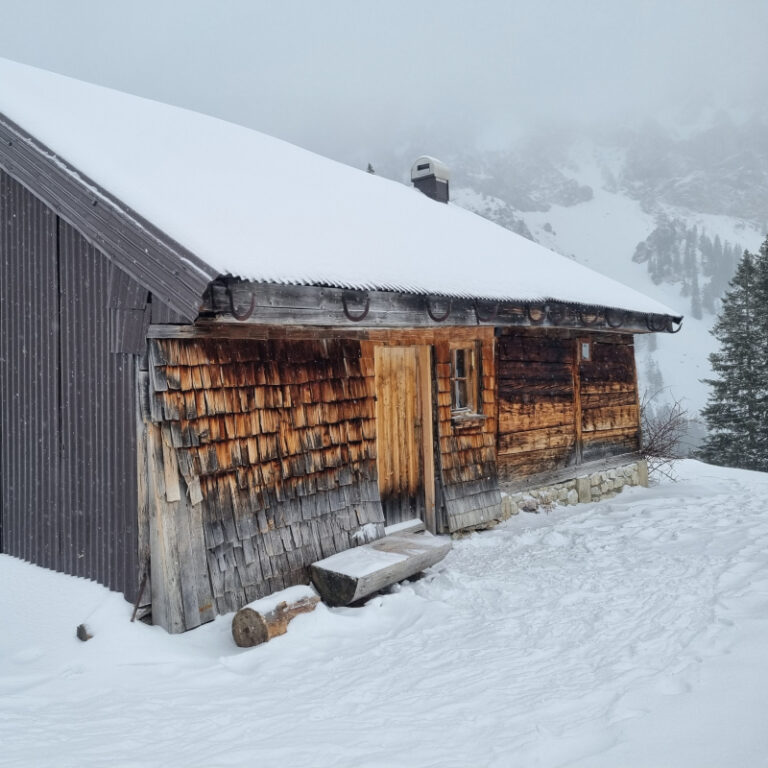 Schneeschuhtouren Allgäu - Gamskopf Level 2