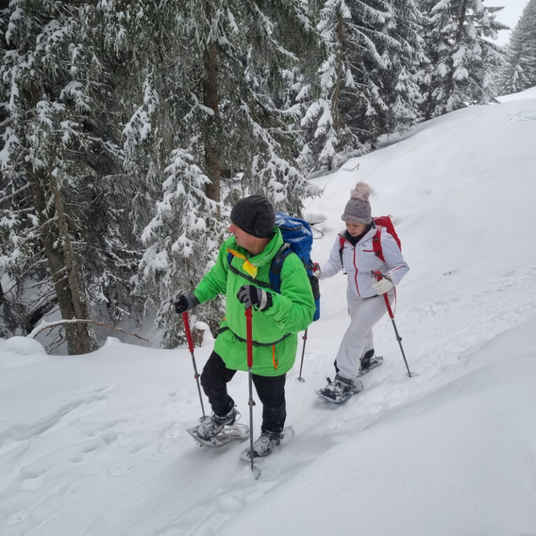 Schneeschuhtouren Allgäu - Gamskopf Level 2