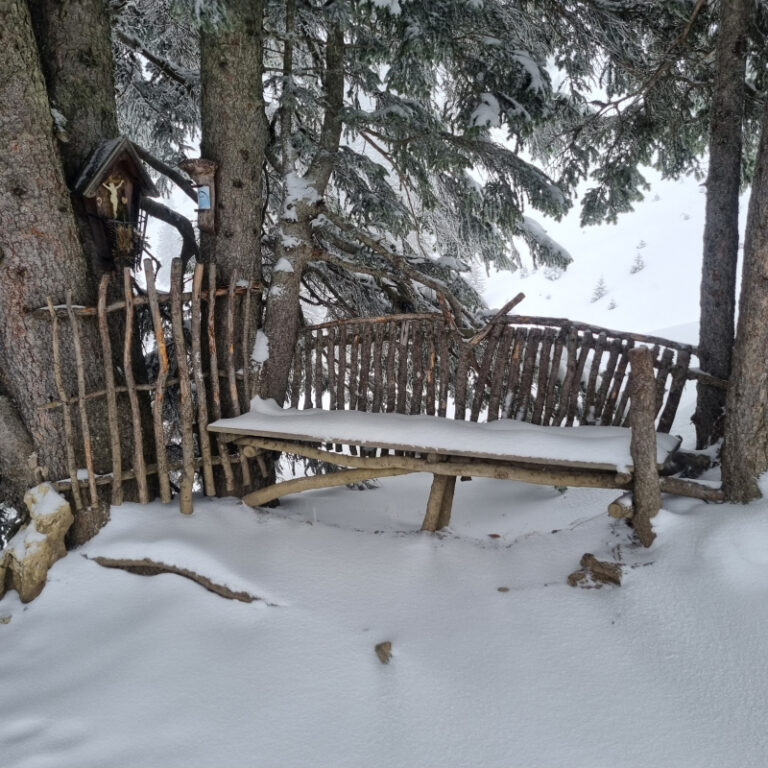 Schneeschuhtouren Allgäu - Gamskopf Level 2