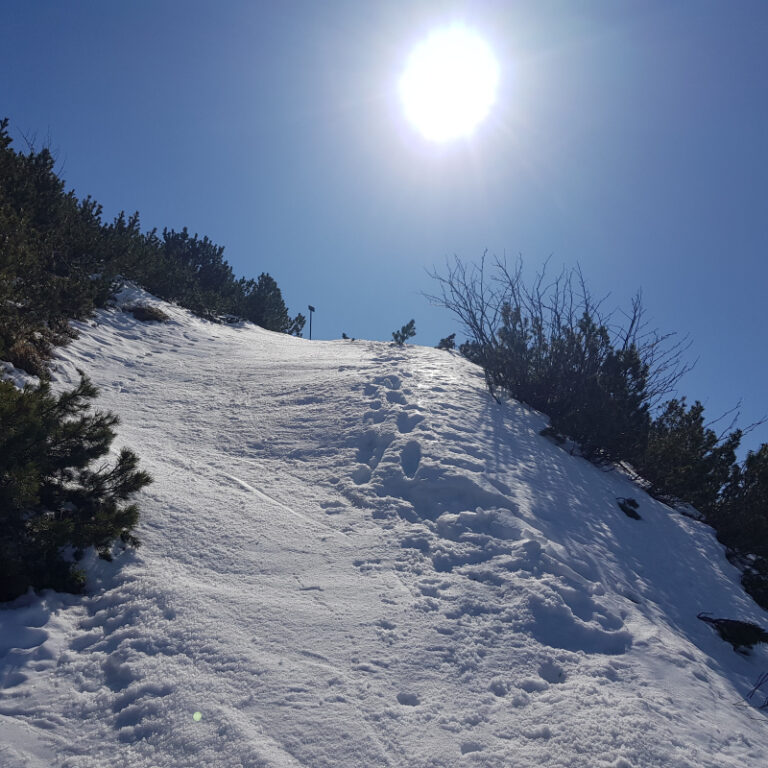 Schneeschuhtouren Allgäu - Iseler Level 3
