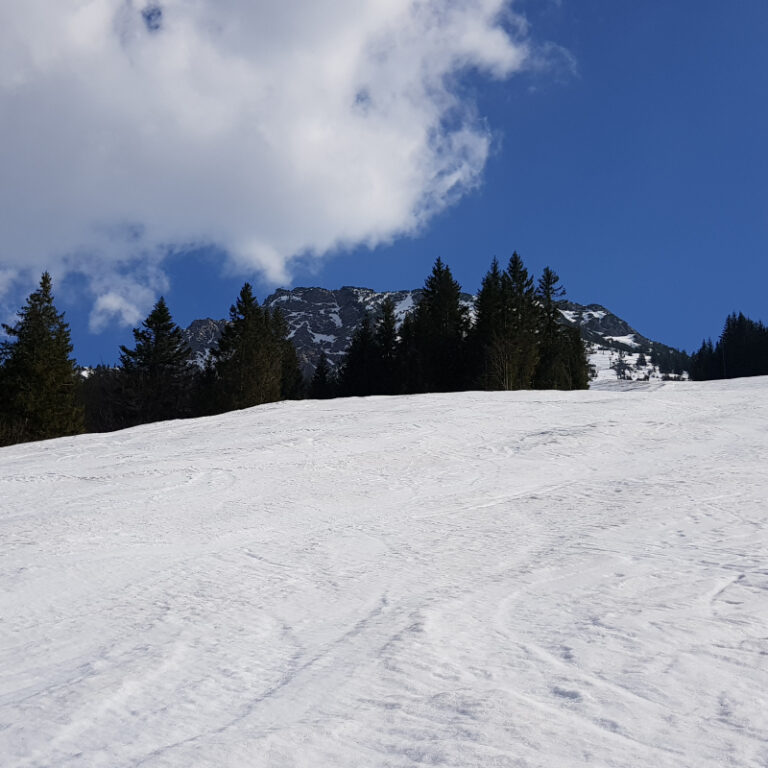 Schneeschuhtouren Allgäu - Iseler Level 3