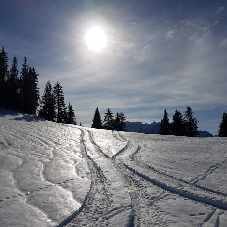 Schneeschuhtouren Allgäu - Iseler Level 3