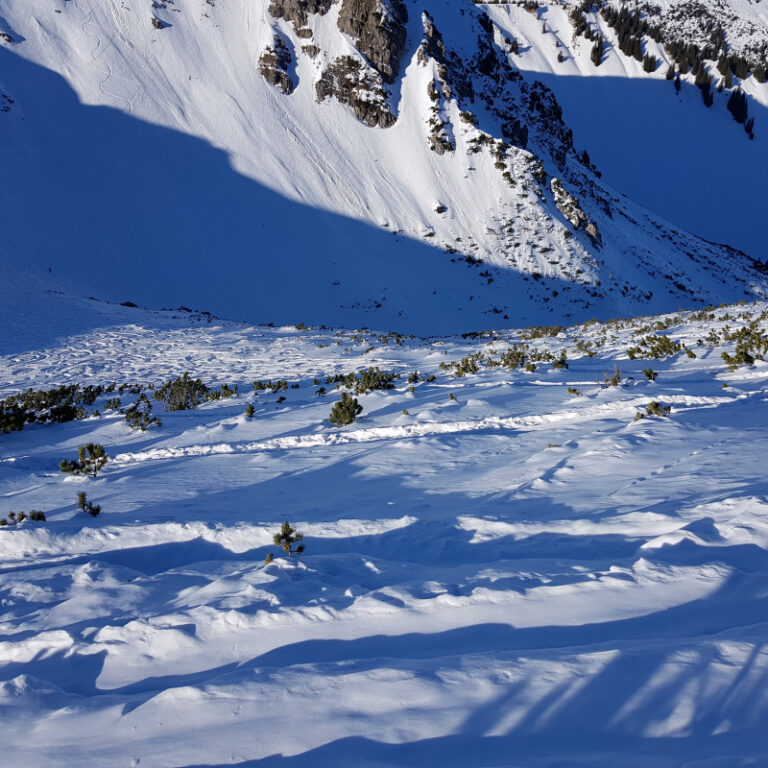 Schneeschuhtouren Allgäu - Ponten Level 3