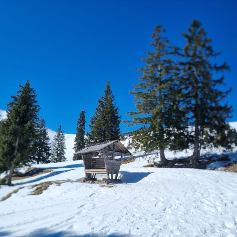 Schneeschuhtouren Allgäu - Schönkahler, Pfronten Level 2