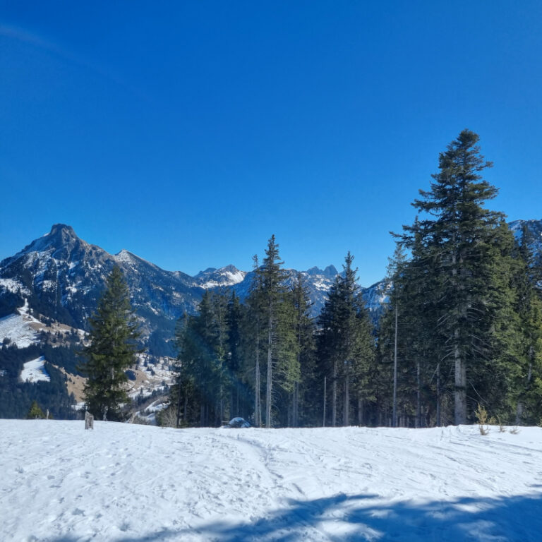 Schneeschuhtouren Allgäu - Schönkahler, Pfronten Level 2