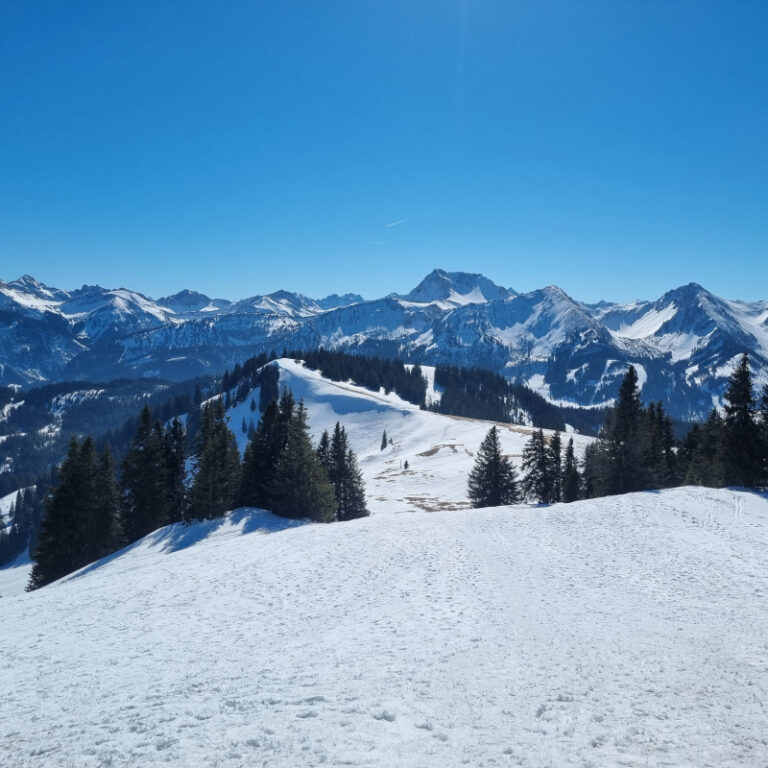 Schneeschuhtouren Allgäu - Schönkahler, Pfronten Level 2