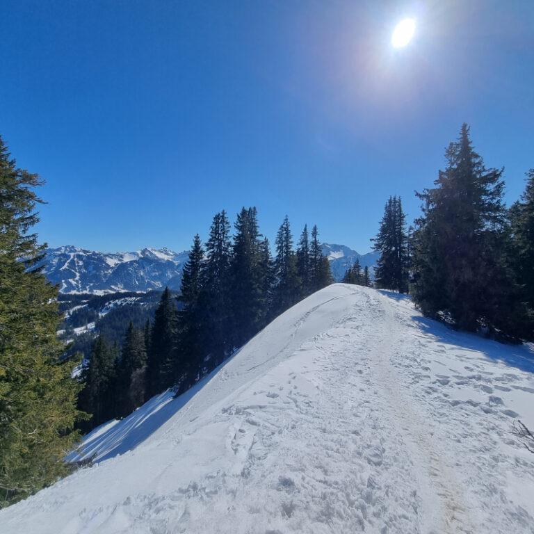 Schneeschuhtouren Allgäu - Schönkahler, Pfronten Level 2