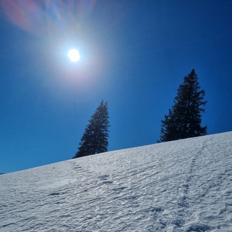 Schneeschuhtouren Allgäu - Schönkahler, Pfronten Level 2