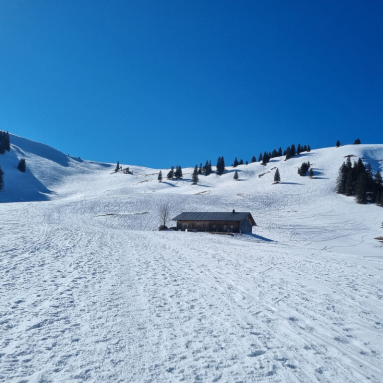 Schneeschuhtouren Allgäu - Schönkahler, Pfronten Level 2