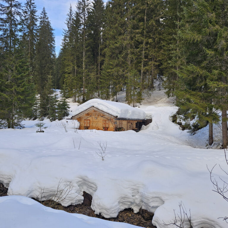 Geführte Schneeschuhwanderung zur Schwarzwasserhütte