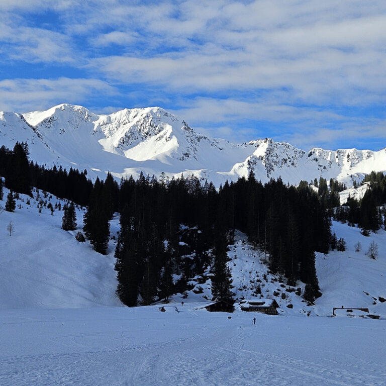 Schneeschuhwanderung_Kleinwalsertal