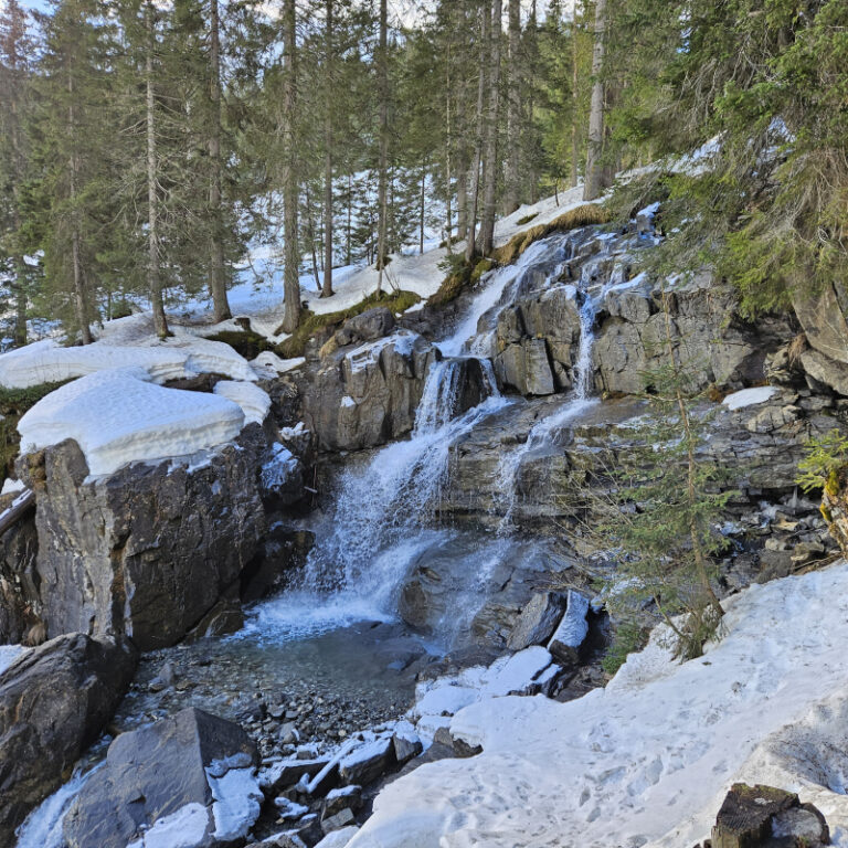 Geführte Schneeschuhwanderung zur Schwarzwasserhütte
