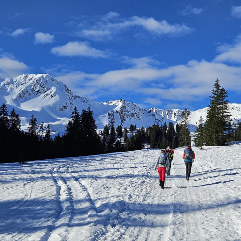 Geführte Schneeschuhwanderung zur Schwarzwasserhütte