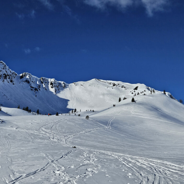 Geführte Schneeschuhwanderung zur Schwarzwasserhütte