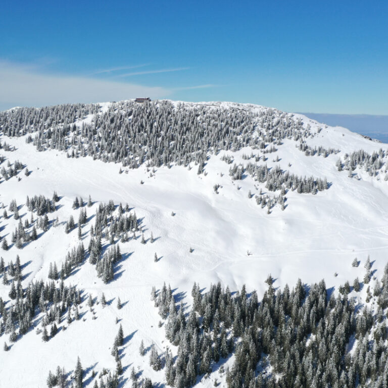 Balderschwang Schneeschuhtour mit Hüttenübernachtung