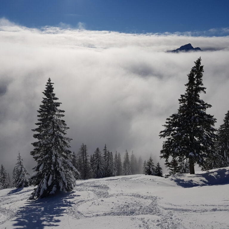 Balderschwang Schneeschuhtour mit Hüttenübernachtung
