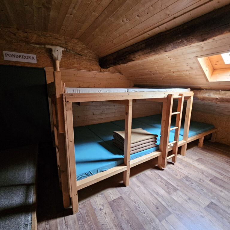 Balderschwang Schneeschuhtour mit Hüttenübernachtung