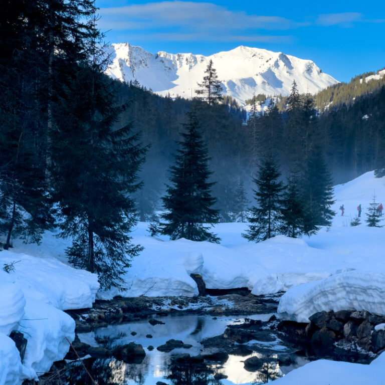 Geführte Schneeschuhwanderung zur Schwarzwasserhütte