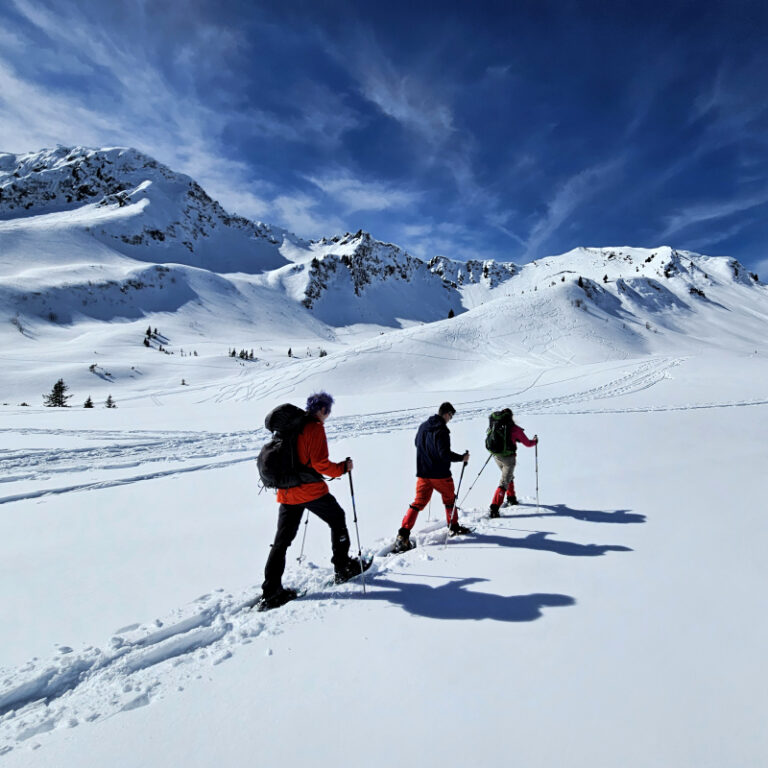 Schneeschuhwanderung mit Hüttenübernachtung in der Schwarzwasserhütte