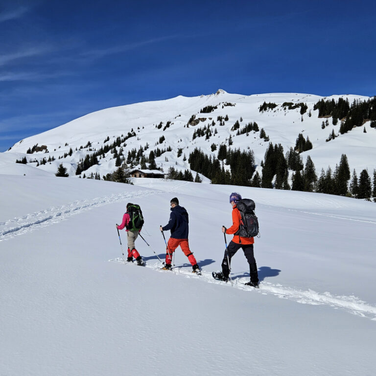 Schneeschuhwanderung mit Hüttenübernachtung in der Schwarzwasserhütte