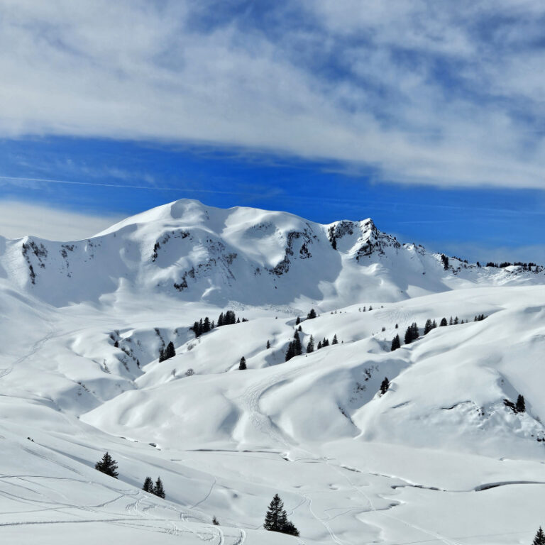 Schneeschuhwanderung mit Hüttenübernachtung in der Schwarzwasserhütte