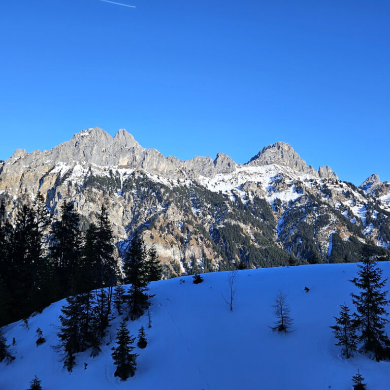 Krinnenalpe_Schneschuhwanderung_06